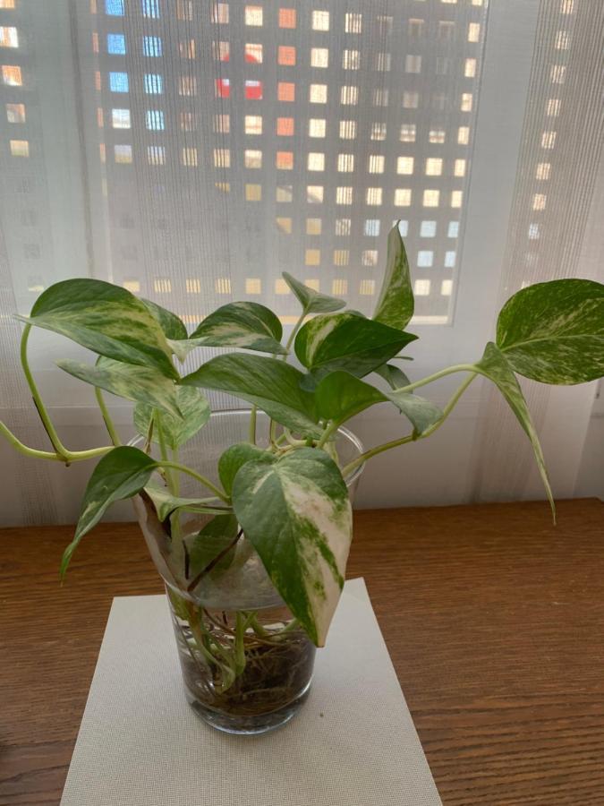Apartament Loft Funcional Cerca Del Centro Sewilla Zewnętrze zdjęcie